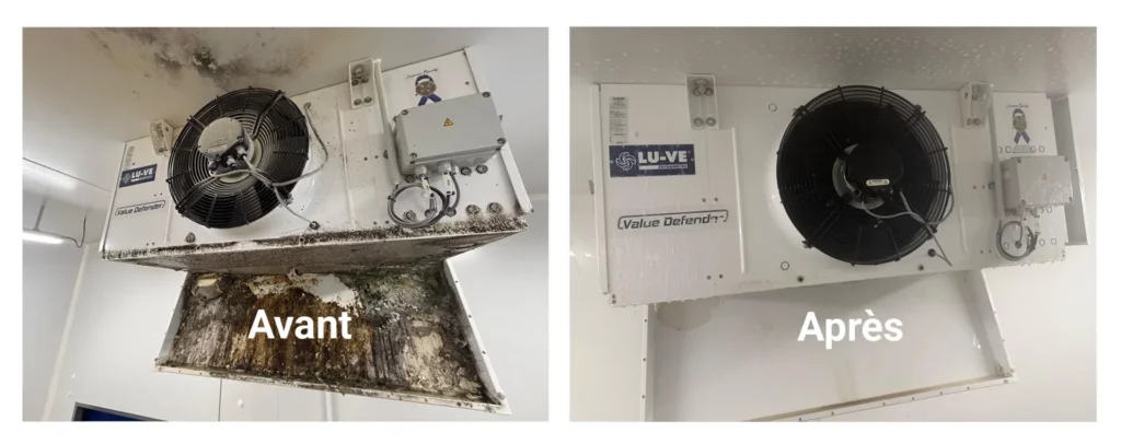 images avant après d'une prestation de Nettoyage d'évaporateur de chambre froide